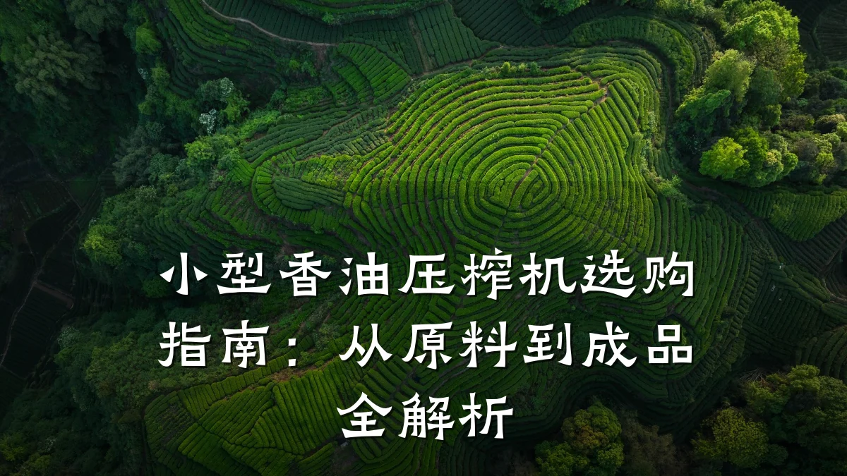 小型香油压榨机选购指南:从原料到成品全解析