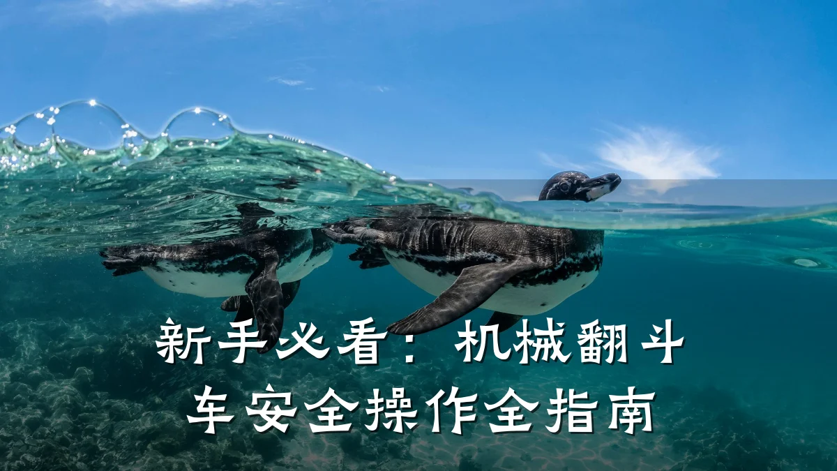 新手必看:机械翻斗车安全操作全指南