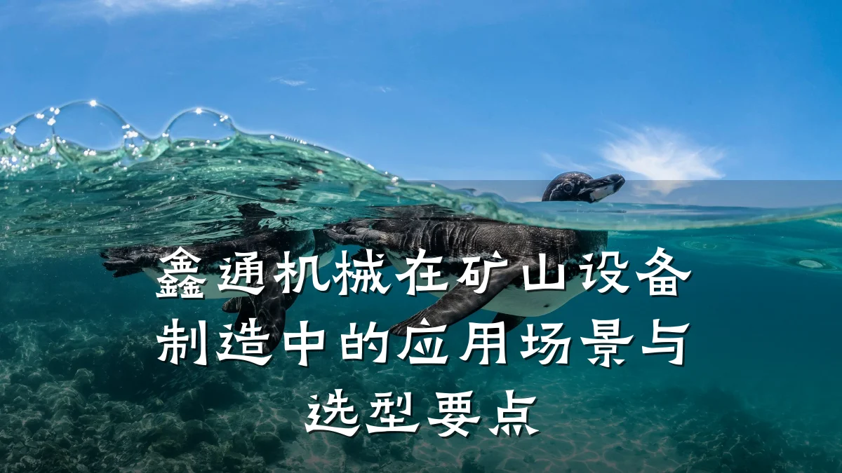 鑫通机械在矿山设备制造中的应用场景与选型要点