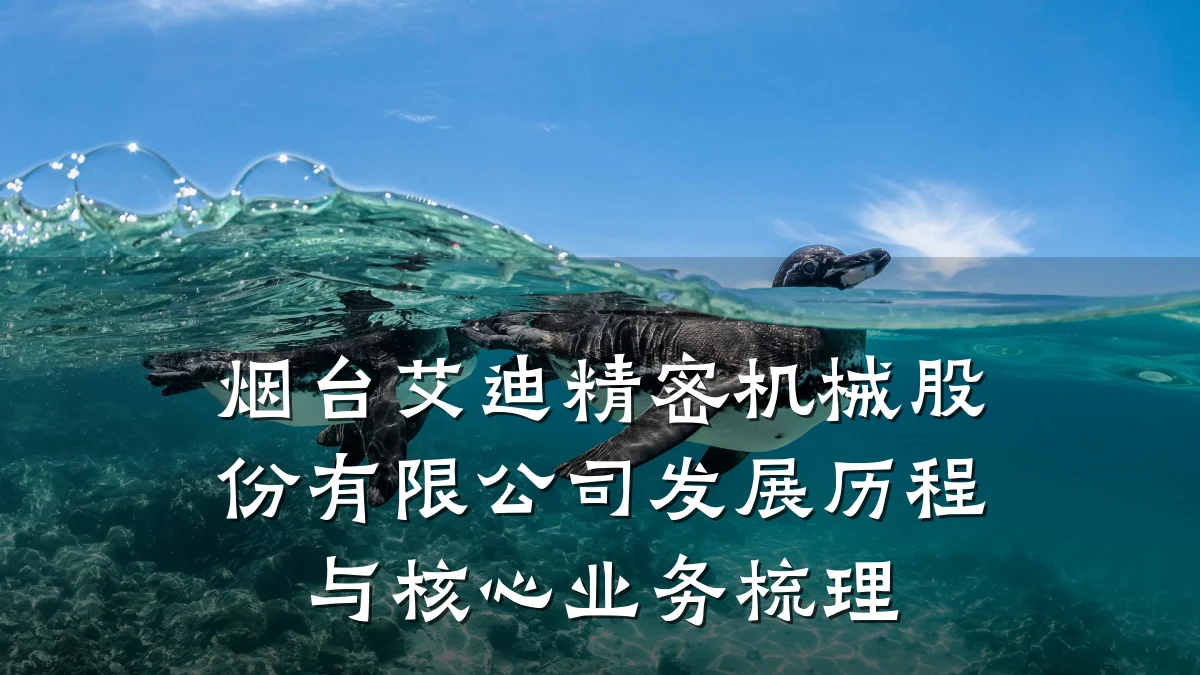 烟台艾迪精密机械股份有限公司发展历程与核心业务梳理
