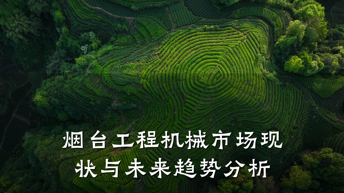 烟台工程机械市场现状与未来趋势分析