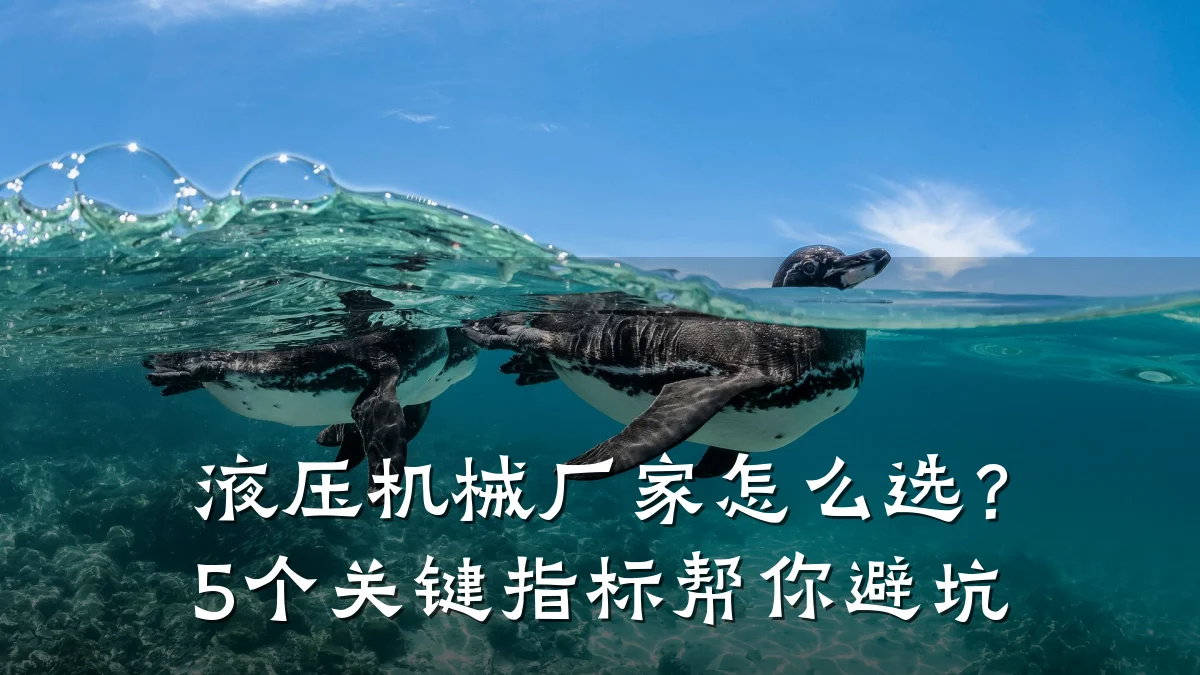 液压机械厂家怎么选?5个关键指标帮你避坑
