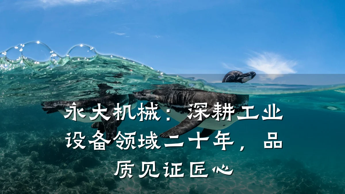 永大机械：深耕工业设备领域二十年，品质见证匠心