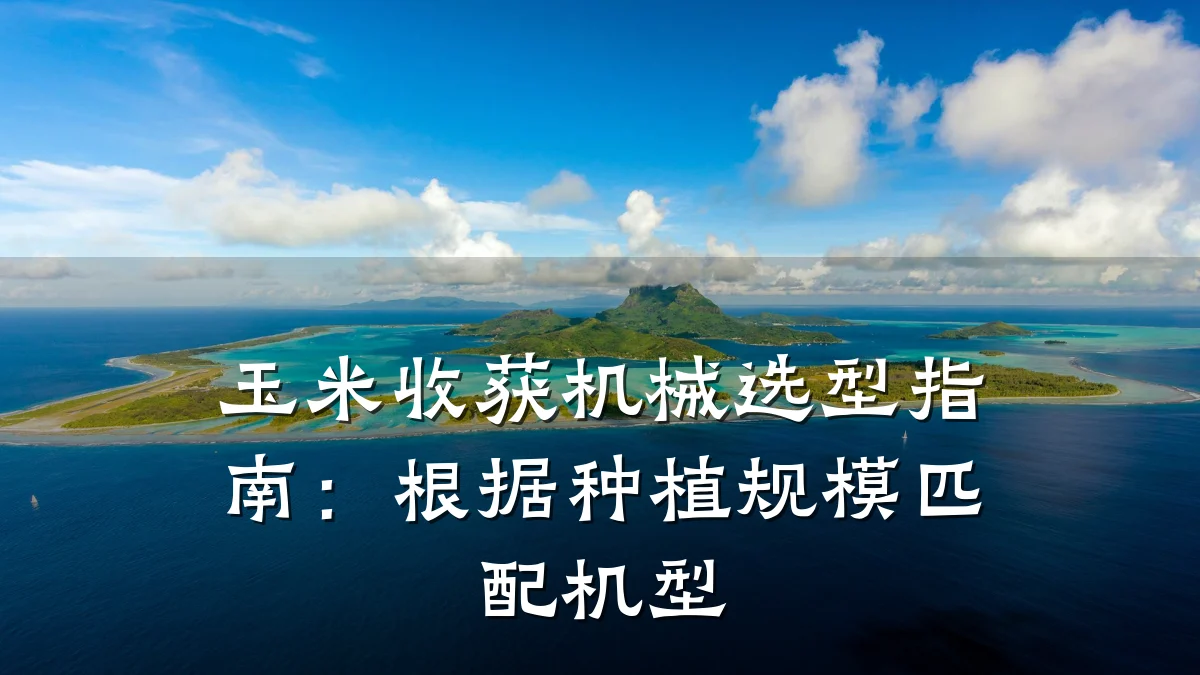 玉米收获机械选型指南:根据种植规模匹配机型