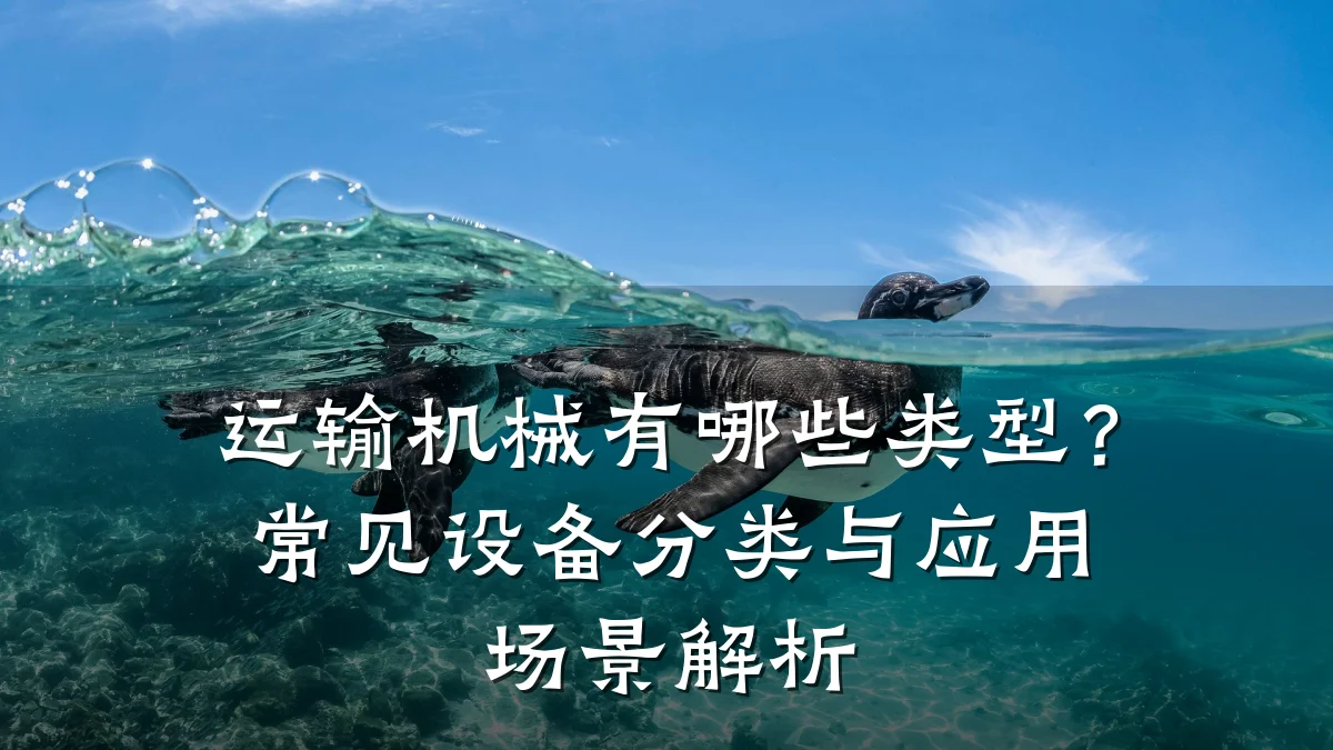 运输机械有哪些类型？常见设备分类与应用场景解析