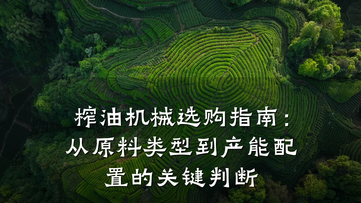 榨油机械选购指南：从原料类型到产能配置的关键判断