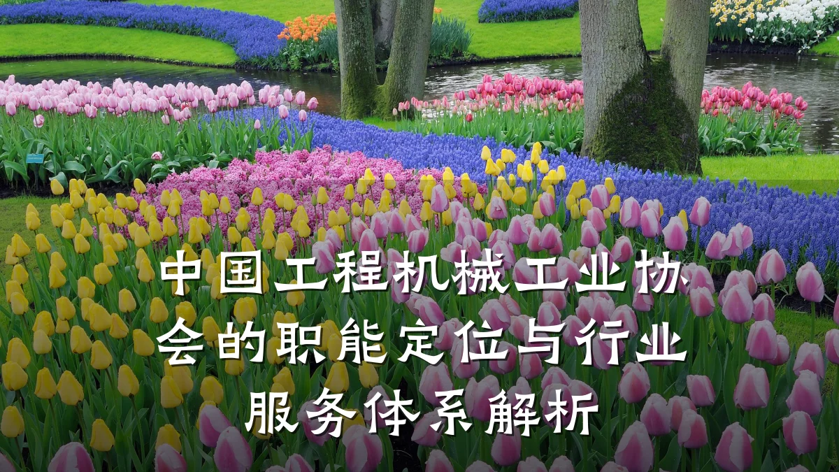 中国工程机械工业协会的职能定位与行业服务体系解析