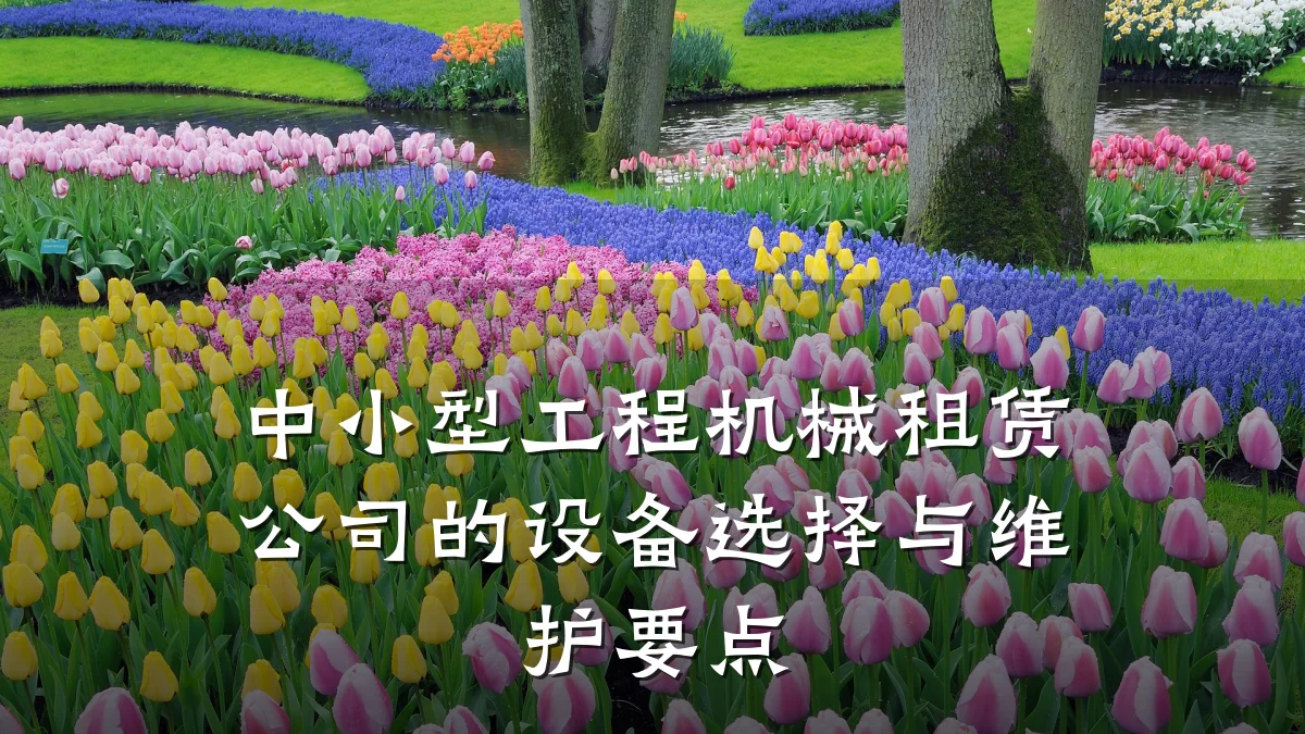 中小型工程机械租赁公司的设备选择与维护要点
