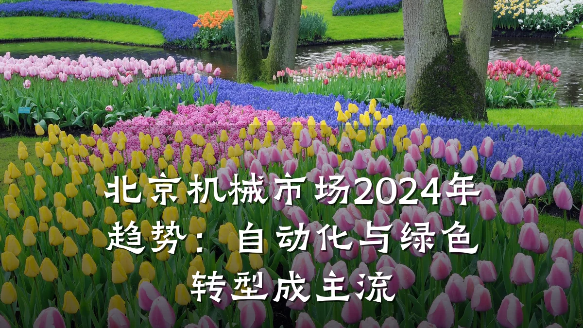 北京机械市场2024年趋势：自动化与绿色转型成主流