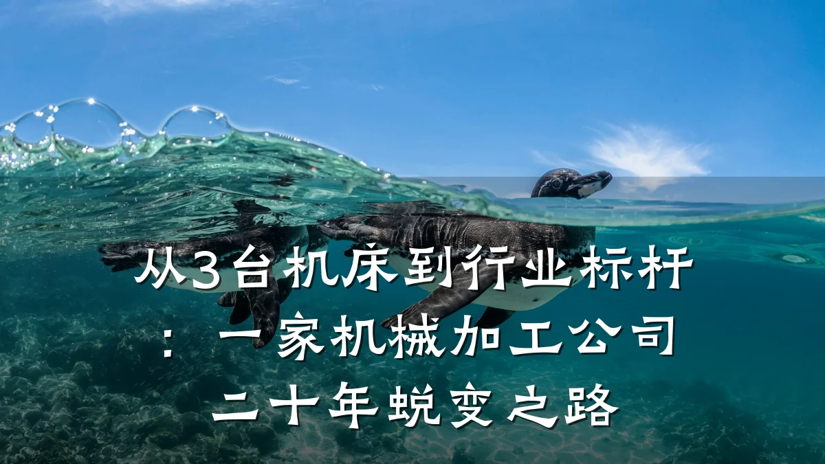 从3台机床到行业标杆：一家机械加工公司二十年蜕变之路