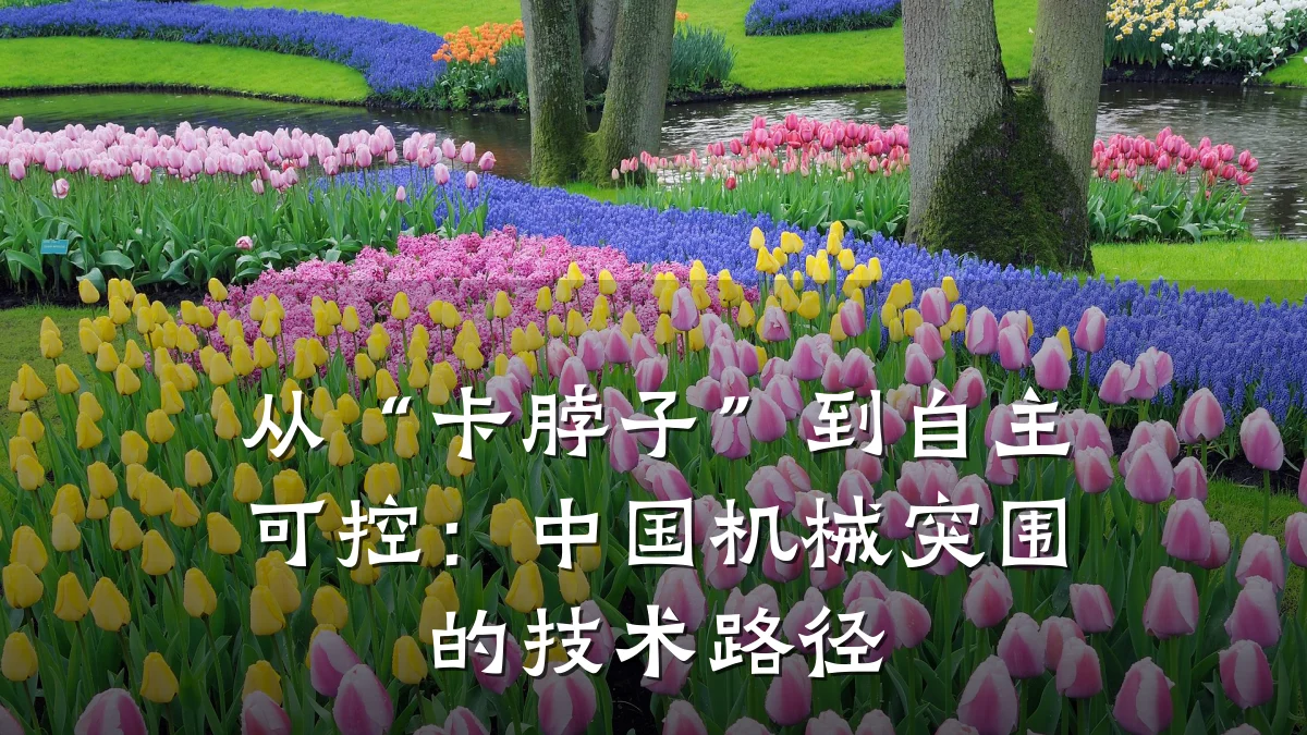 从“卡脖子”到自主可控：中国机械突围的技术路径