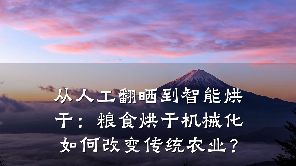 从人工翻晒到智能烘干：粮食烘干机械化如何改变传统农业？