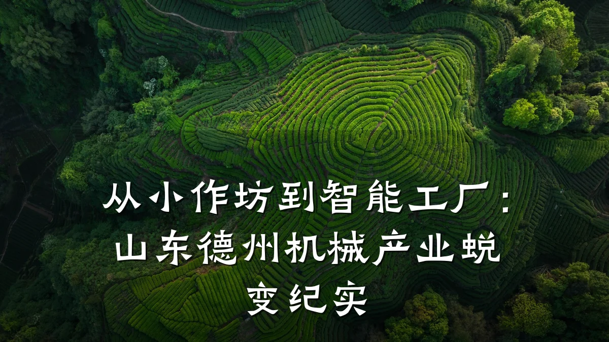 从小作坊到智能工厂：山东德州机械产业蜕变纪实
