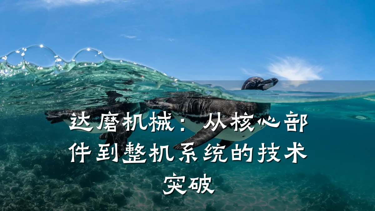 达磨机械：从核心部件到整机系统的技术突破