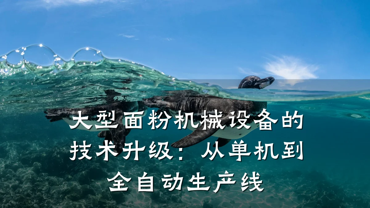 大型面粉机械设备的技术升级：从单机到全自动生产线