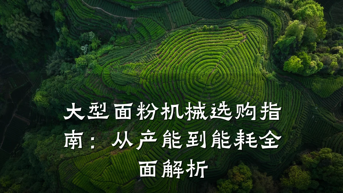 大型面粉机械选购指南：从产能到能耗全面解析