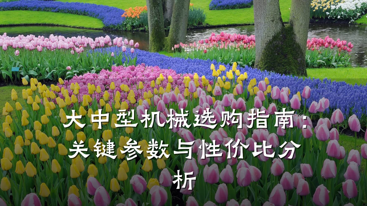 大中型机械选购指南：关键参数与性价比分析