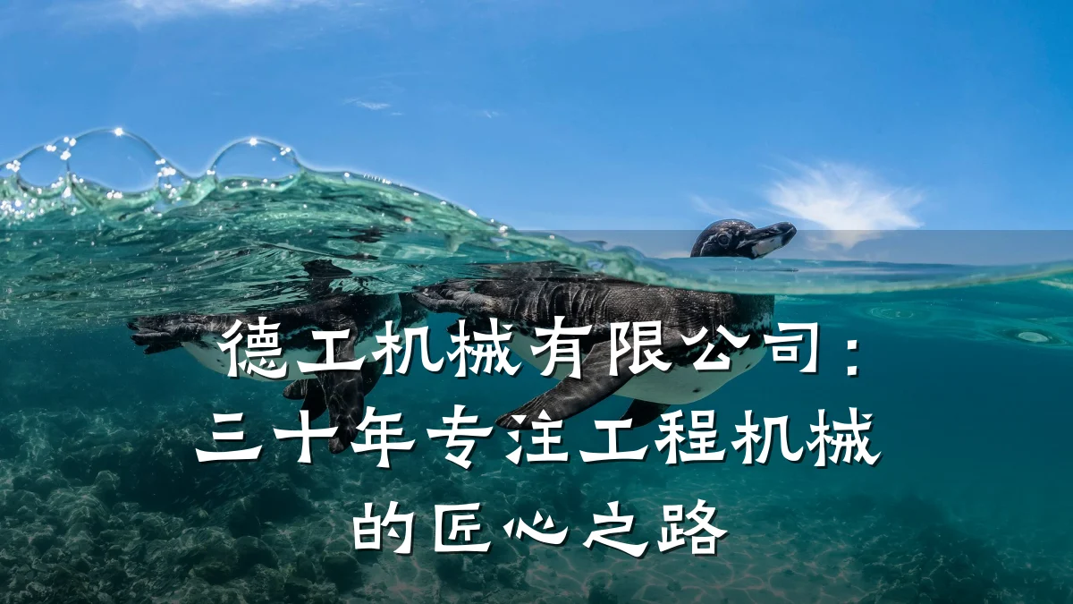 德工机械有限公司：三十年专注工程机械的匠心之路