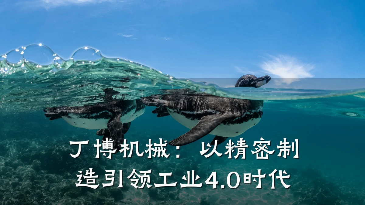 丁博机械：以精密制造引领工业4.0时代