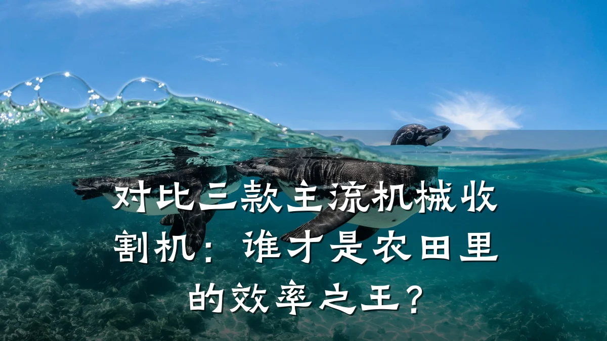 对比三款主流机械收割机：谁才是农田里的效率之王？