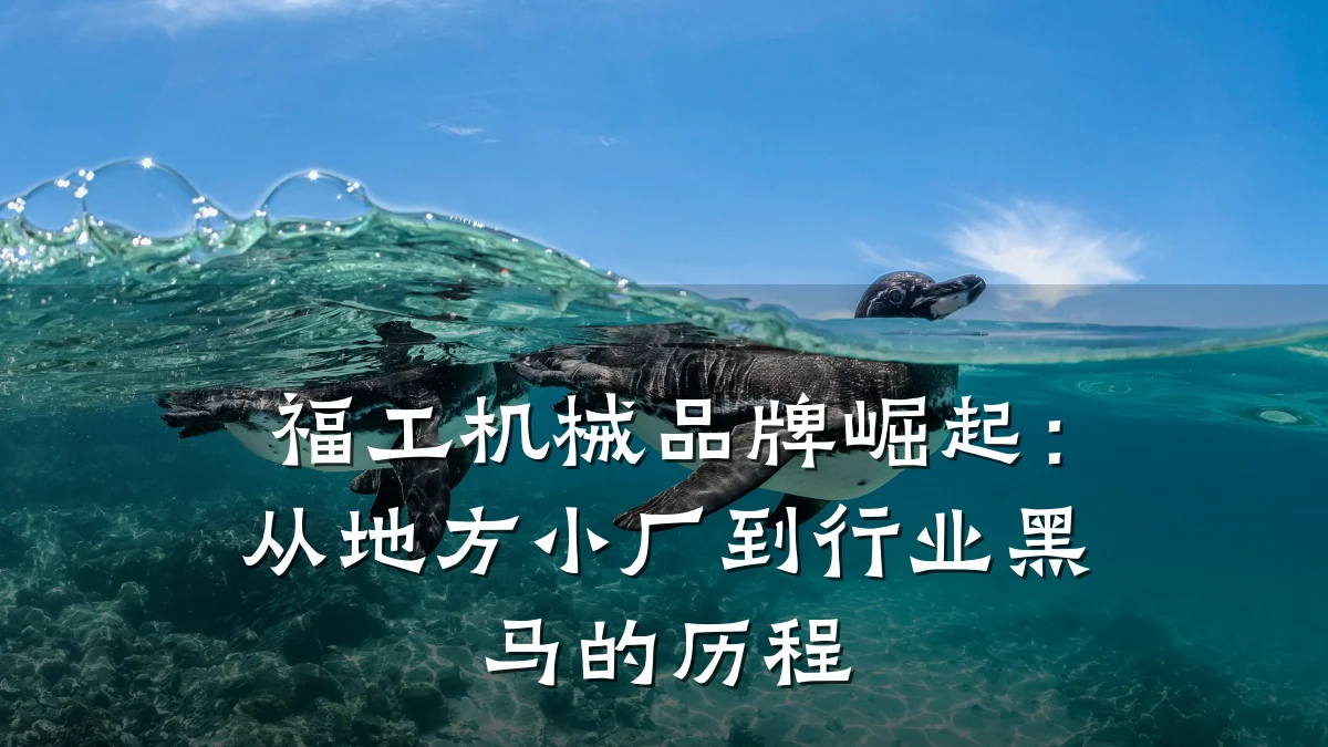 福工机械品牌崛起：从地方小厂到行业黑马的历程