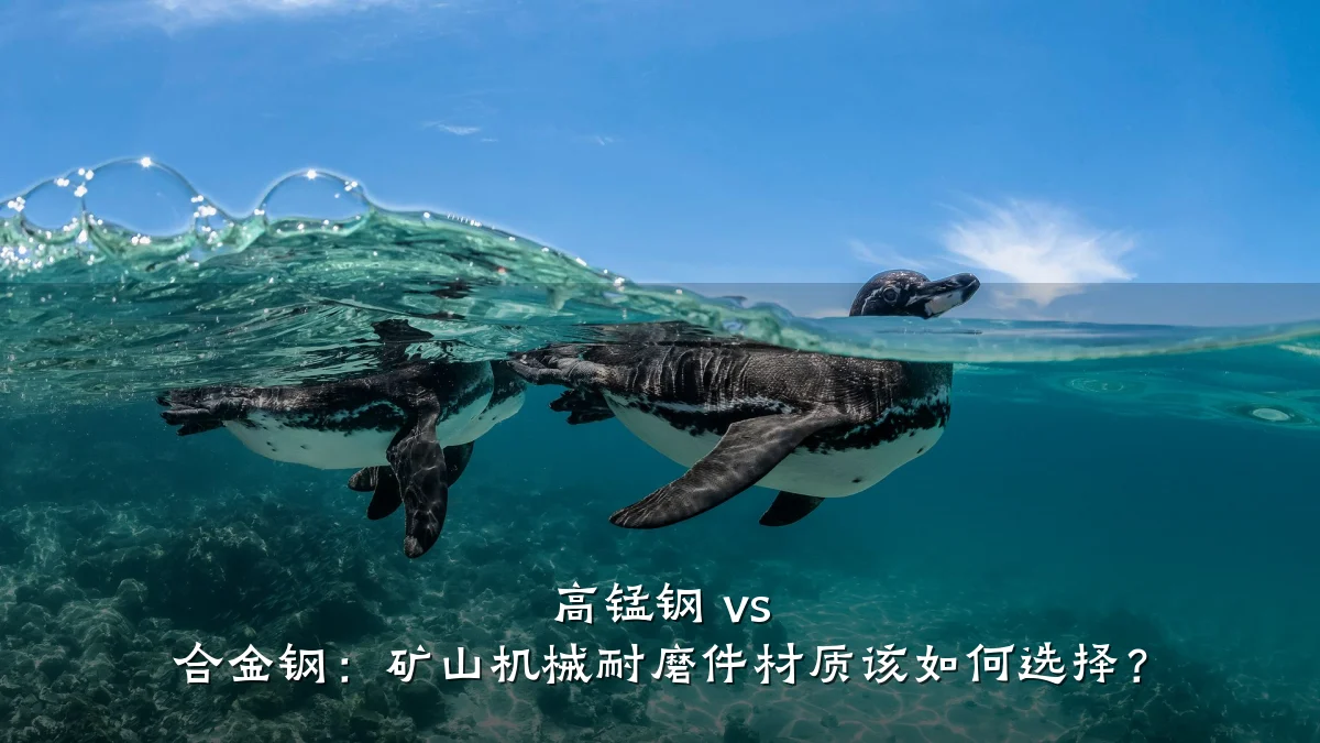 高锰钢 vs 合金钢:矿山机械耐磨件材质该如何选择?
