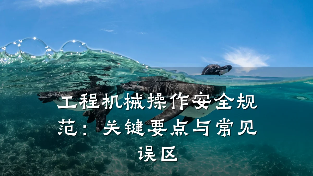 工程机械操作安全规范：关键要点与常见误区