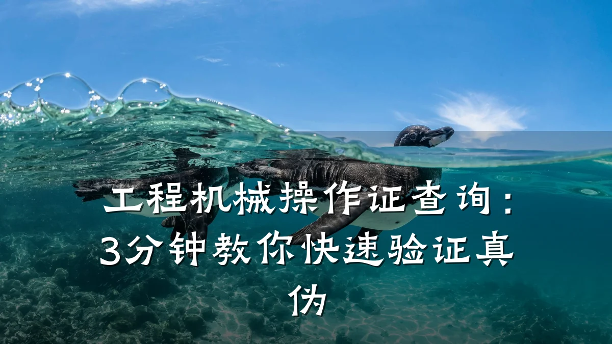 工程机械操作证查询：3分钟教你快速验证真伪