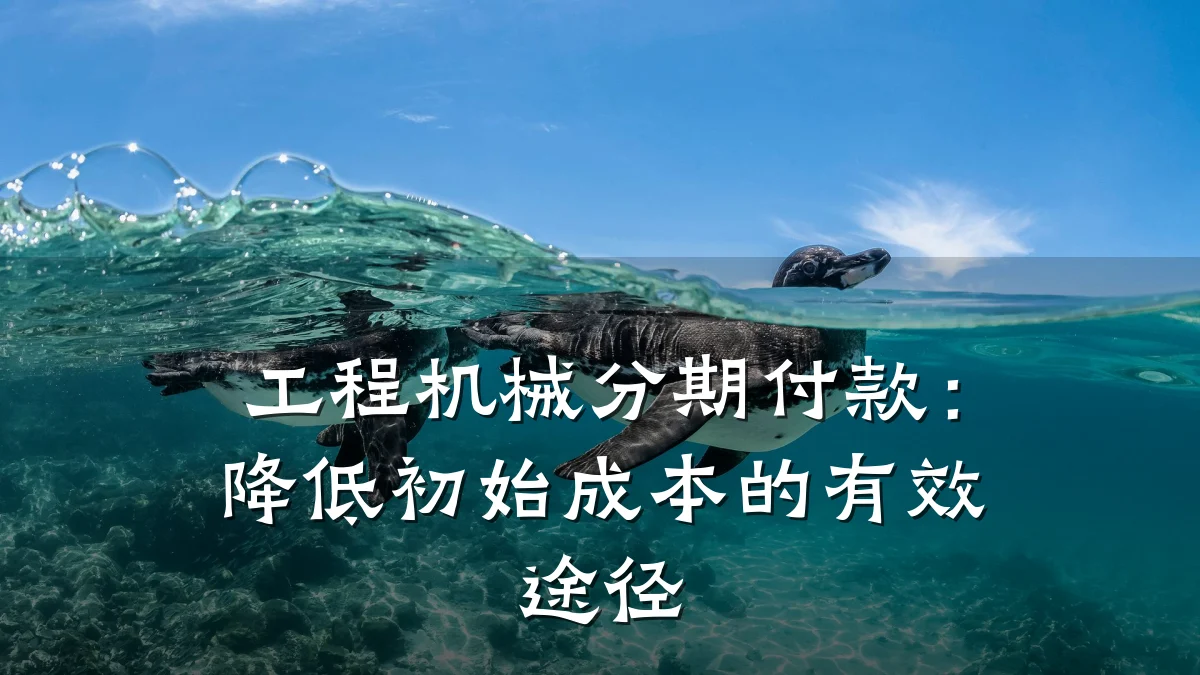 工程机械分期付款:降低初始成本的有效途径