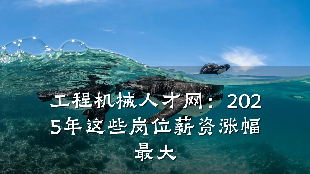 工程机械人才网：2025年这些岗位薪资涨幅最大