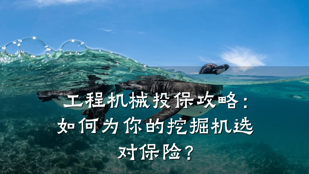 工程机械投保攻略：如何为你的挖掘机选对保险？