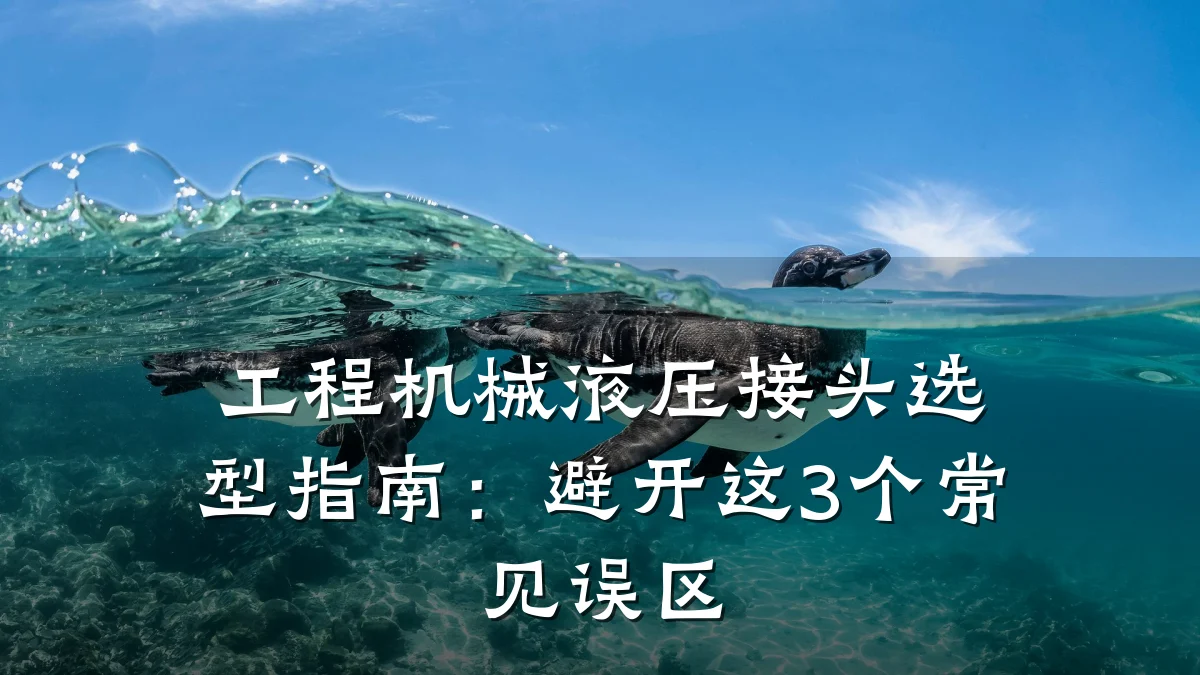 工程机械液压接头选型指南：避开这3个常见误区