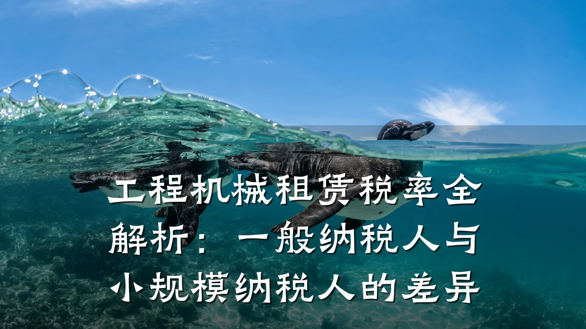 工程机械租赁税率全解析：一般纳税人与小规模纳税人的差异