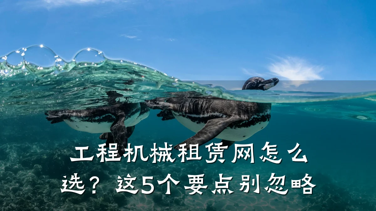 工程机械租赁网怎么选?这5个要点别忽略