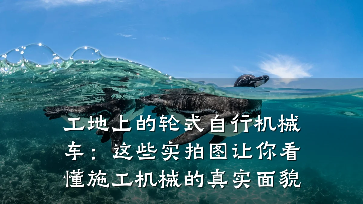工地上的轮式自行机械车：这些实拍图让你看懂施工机械的真实面貌