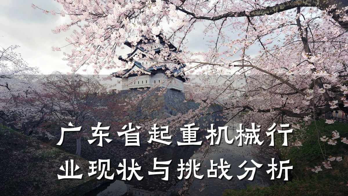 广东省起重机械行业现状与挑战分析