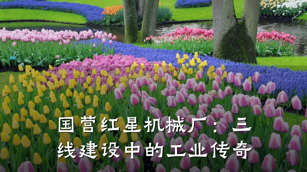 国营红星机械厂：三线建设中的工业传奇