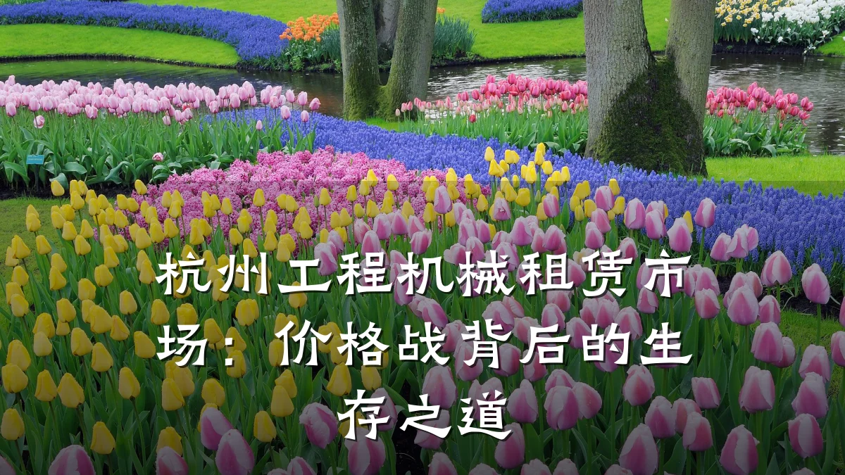 杭州工程机械租赁市场：价格战背后的生存之道