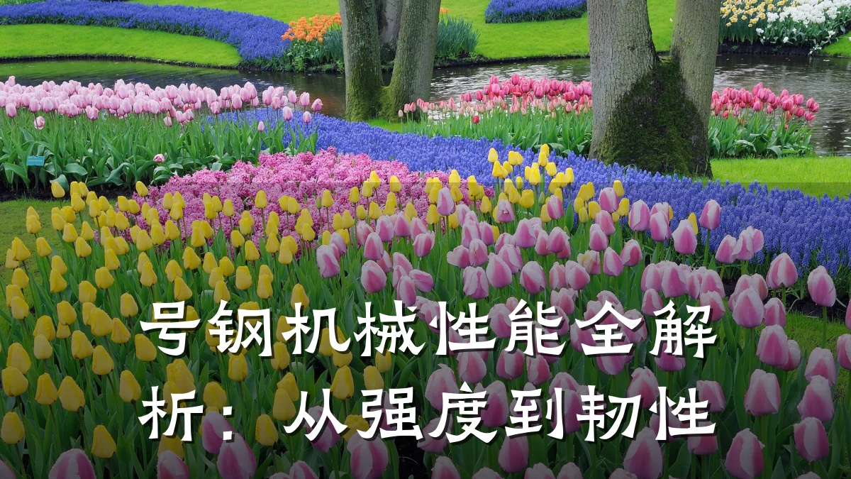 号钢机械性能全解析：从强度到韧性
