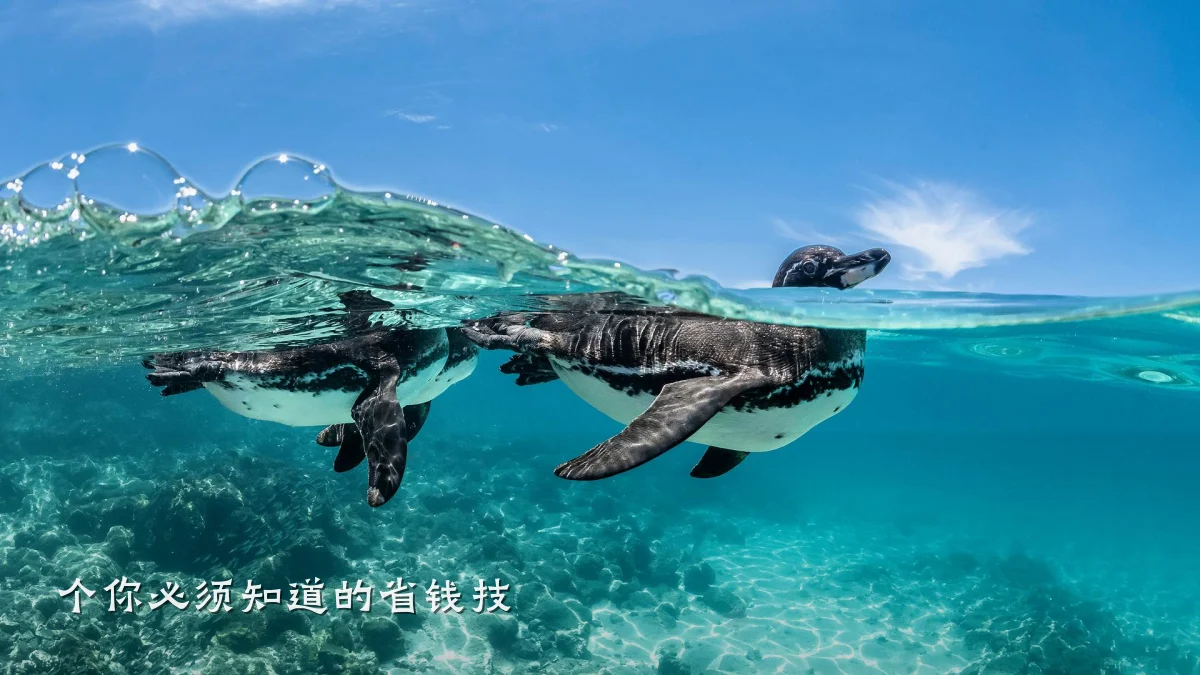个你必须知道的省钱技