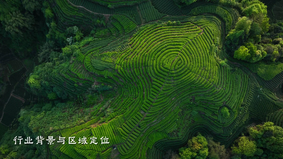 行业背景与区域定位