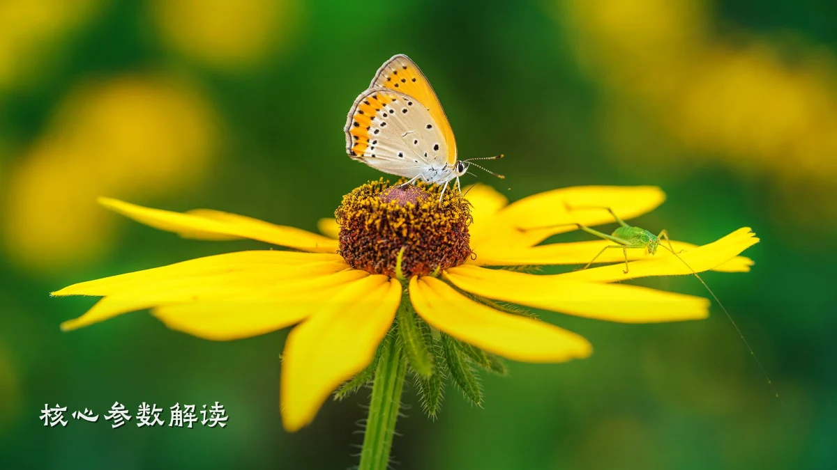 核心参数解读