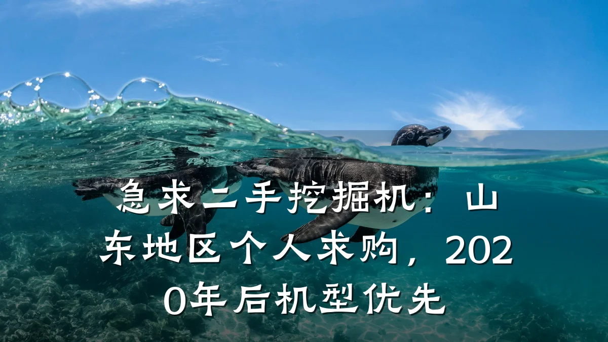 急求二手挖掘机：山东地区个人求购，2020年后机型优先