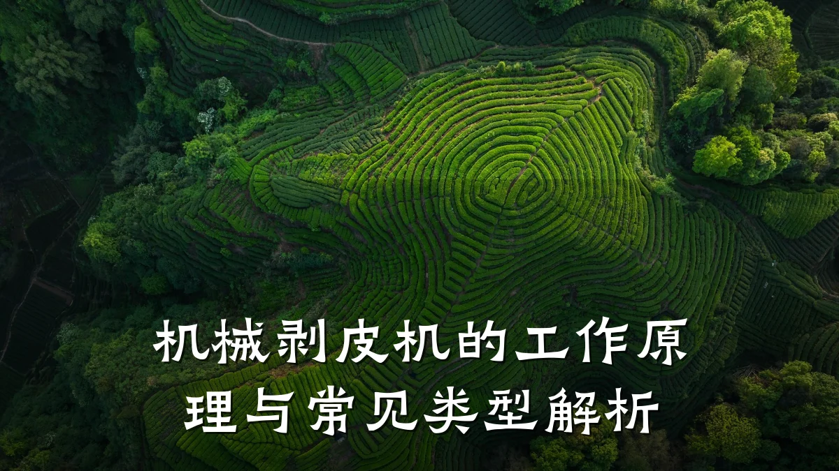 机械剥皮机的工作原理与常见类型解析