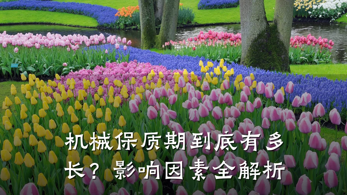 机械保质期到底有多长?影响因素全解析