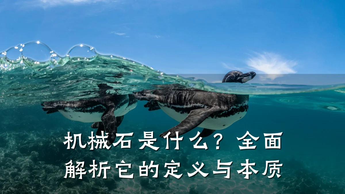 机械石是什么？全面解析它的定义与本质