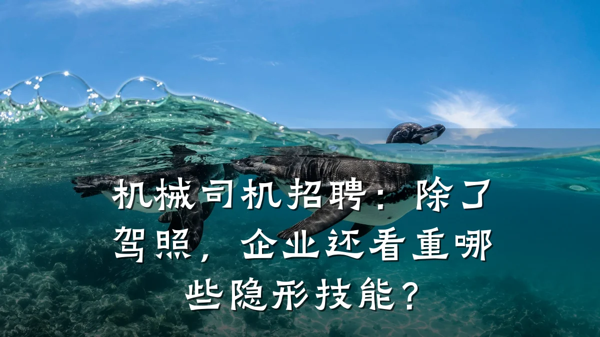 机械司机招聘：除了驾照，企业还看重哪些隐形技能？