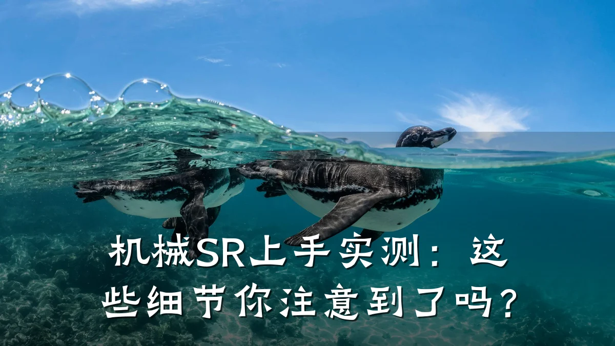机械SR上手实测：这些细节你注意到了吗？