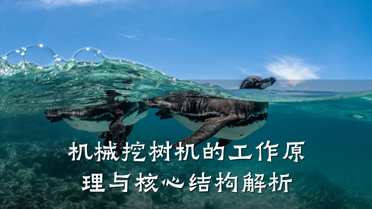 机械挖树机的工作原理与核心结构解析