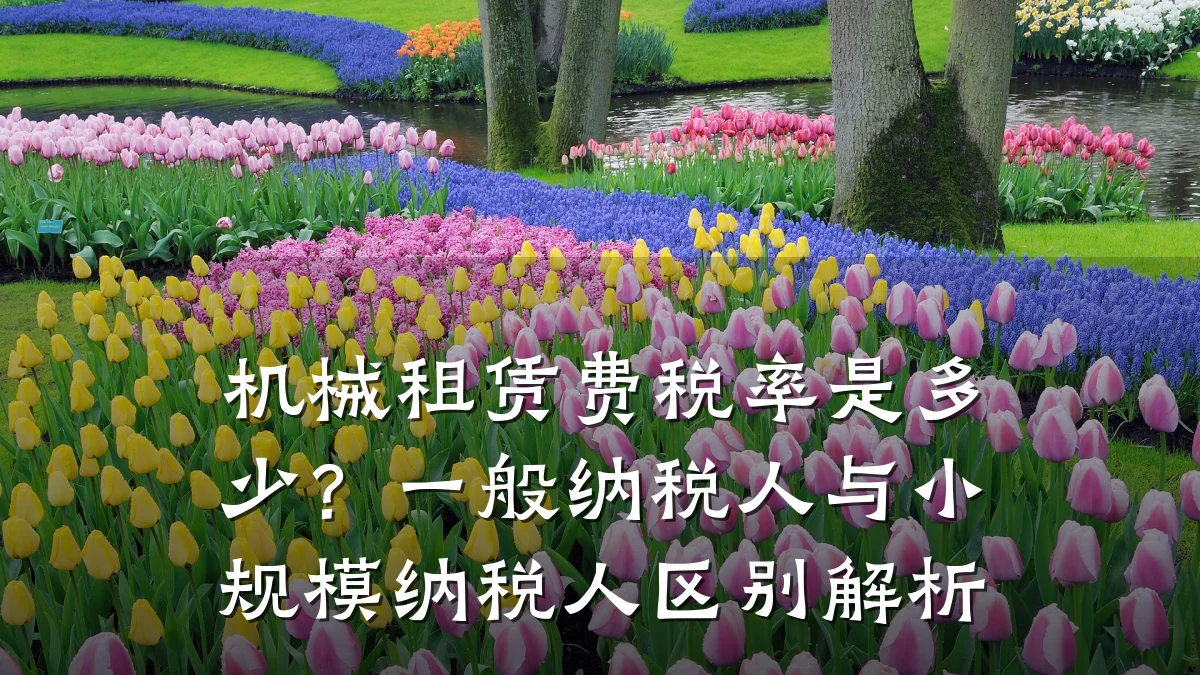 机械租赁费税率是多少?一般纳税人与小规模纳税人区别解析